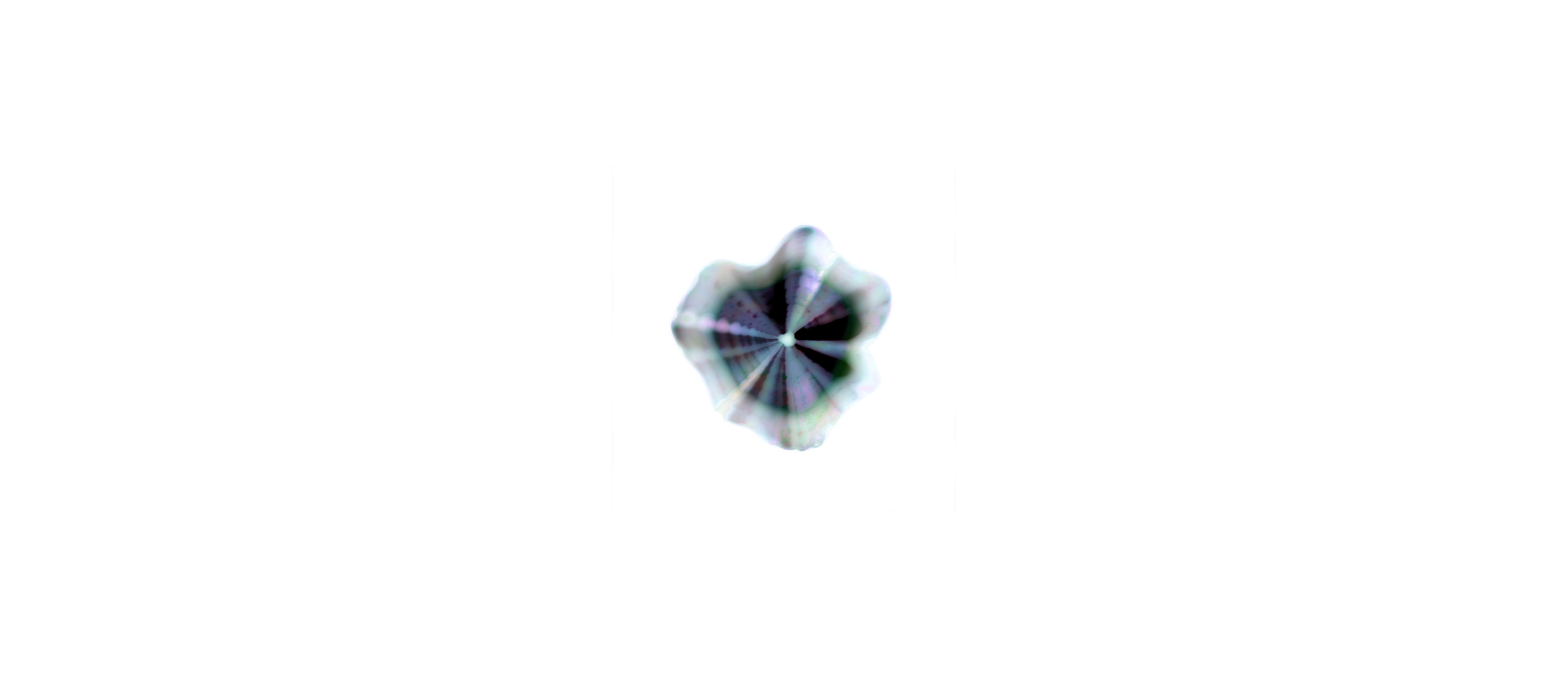 Three_Pieces_of_Imagination